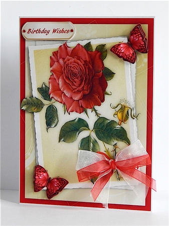 Beautiful Red Roses and Butterflys  by Denise Murray