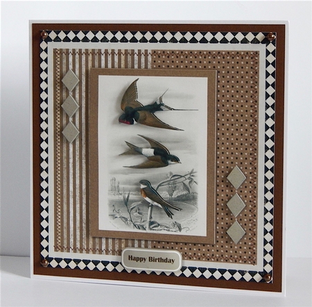 Three Swallows Male All Occasion Mini Kit by Denise Murray