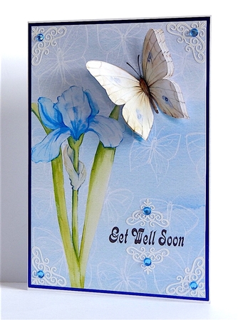  Blue Iris -  Get Well Soon by Denise Murray