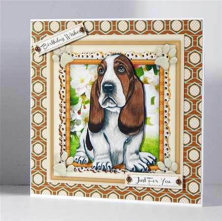 Lovely Barnet Basset Hound  by Denise Murray