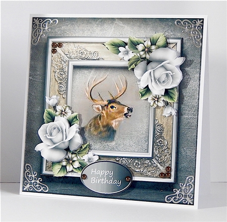 Deer and White roses by Denise Murray