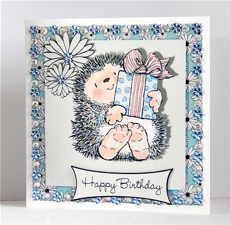 Cute hedgehog stamp birthday 6 x 6 topper card by Denise Murray