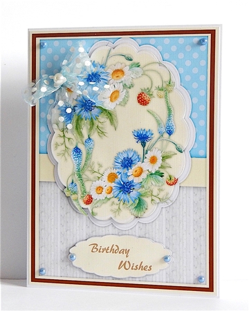 Beautiful Cornflowers and Daisys  by Denise Murray