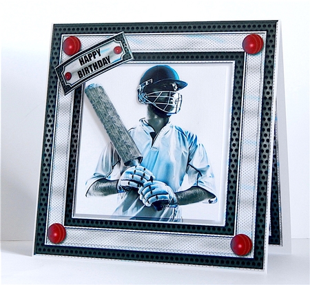 Eat, Sleep, Cricket, Repeat by Denise Murray