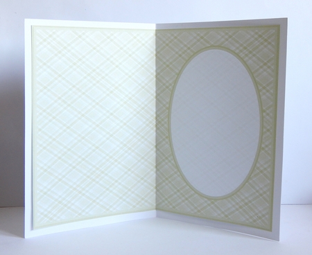Green Easter Tartan Insert, With Borders by Denise Murray