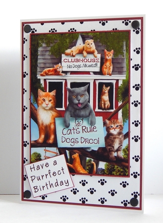 Dogs are Cool and Cats Rule Topper by Denise Murray
