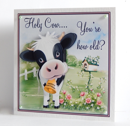 Happy Birthday to Moo! by Denise Murray