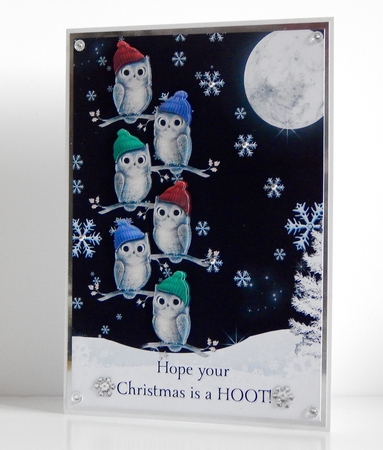 Hope Your Christmas is a Hoot by Denise Murray