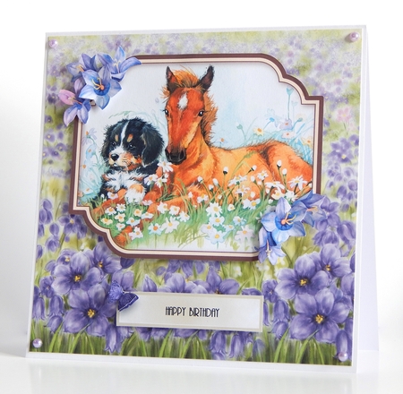 Farm Friends by Denise Murray