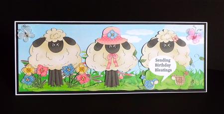 Birthday Bleatings Dl by Denise Murray