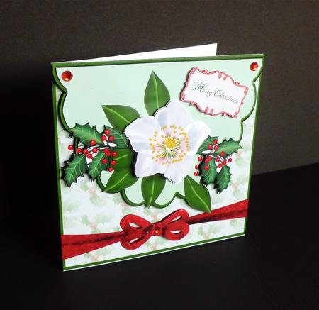 Christmas Rose Square Envelope Card by Denise Murray