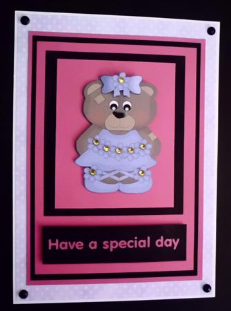 Happy Birthday Have a Special Day by Denise Murray