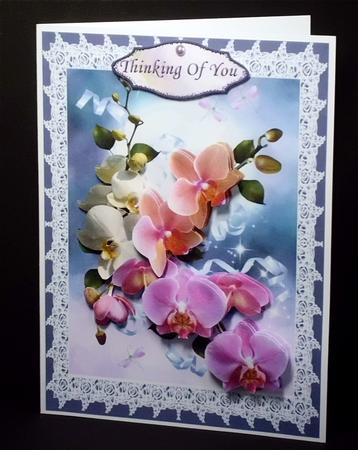 Orchids and Lace by Denise Murray