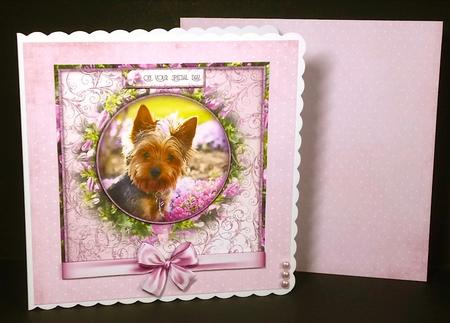 Coral Pink and White Spots Paper by Denise Murray