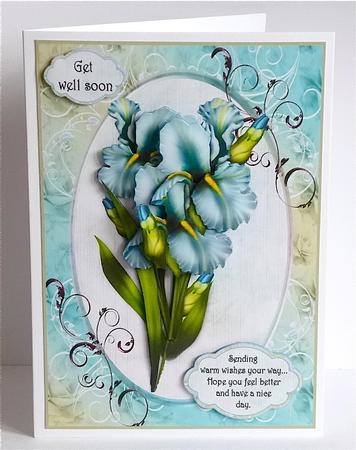 Blue Iris Get Well/anniversary by Denise Murray