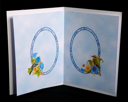 Insert - Little Birds by Denise Murray