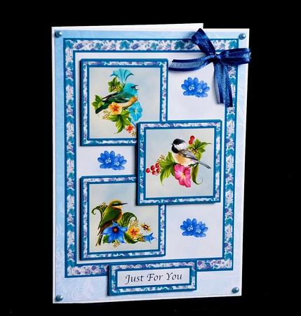 Three Squares- Little Birds by Denise Murray
