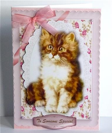 Lovely Fluffy Kitten on Lace Oval  by Denise Murray