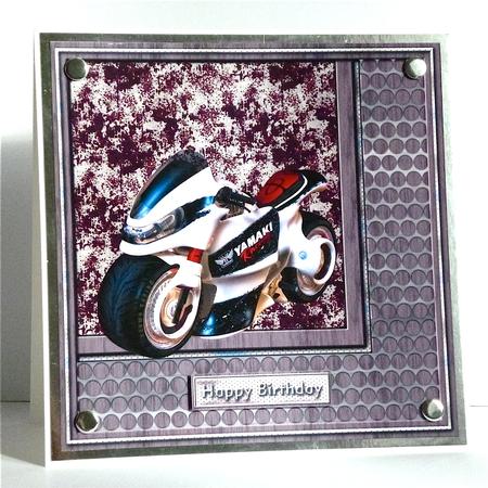 Biker Topper by Denise Murray