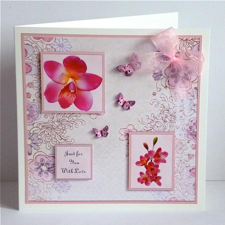 Orchids and Butterflies by Denise Murray