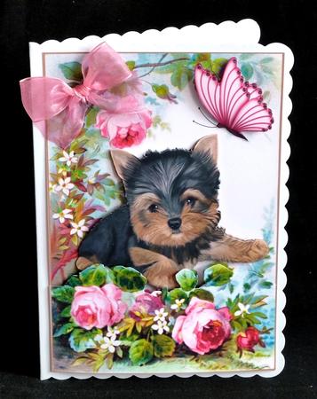 Cute Yorkshire Terrier with Rose in the Garden by Denise Murray