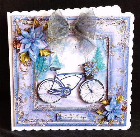 Christmas Bike Ride by Denise Murray