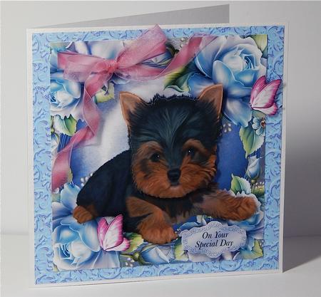 Gorgeous Yorkshire Terrier in Blue Roses 8x8 by Denise Murray