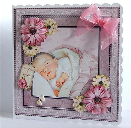 New Born Baby Girl by Denise Murray