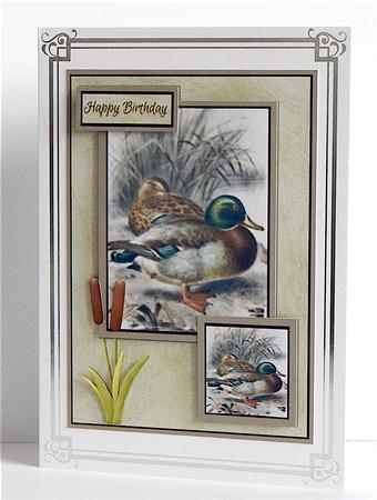 Get Well Card with Mallards by Denise Murray