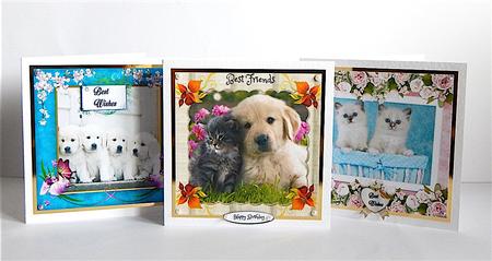 Kittens & Puppies Bumper Kit by Denise Murray