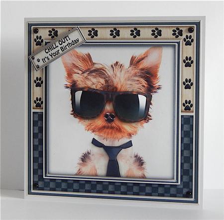 No Bones About It You Are Pawsome by Denise Murray