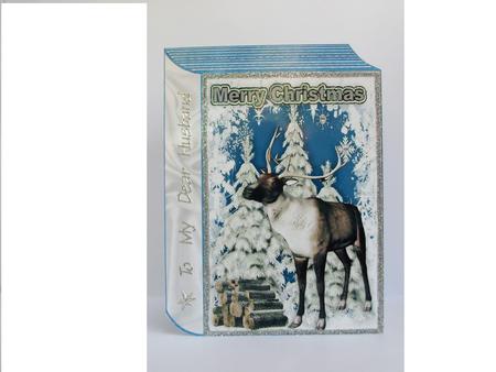 Reindeer in the Snow with Snowy Tree Folded Book by Denise Mynard