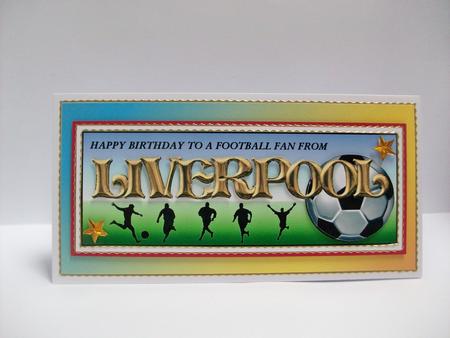 Football Fan from - Liverpool by Denise Mynard