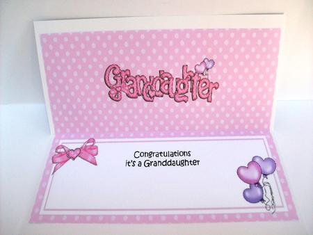 Congratulations It's a Granddaughter Large Dl Insert by Denise Mynard