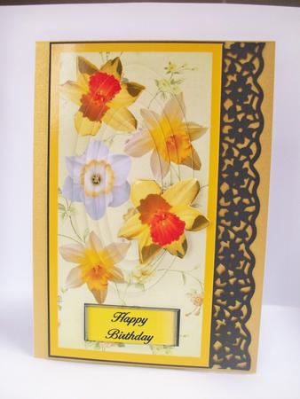 Raining Flowers Daffodils by Denise Mynard