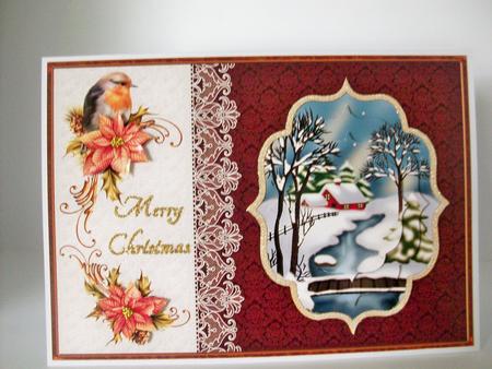 Christmas Robin and Poinsettia by Denise Mynard