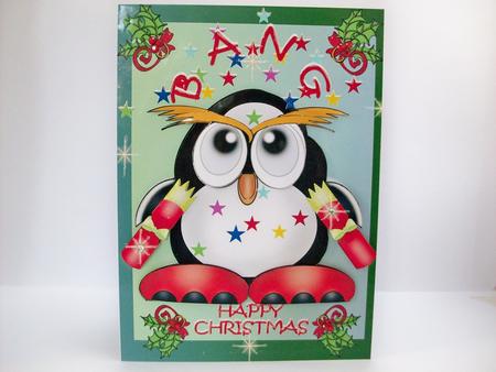 Crackers for Christmas by Denise Mynard