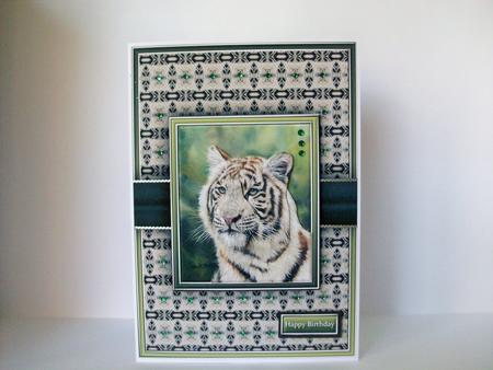 White Tiger Quick Card by Denise Mynard