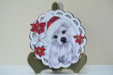 Cute White Westie in Santa Hat with Poinsettias,ornate Plate by Denise Mynard
