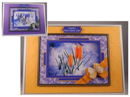 Croci in the Snow by Denise Mynard