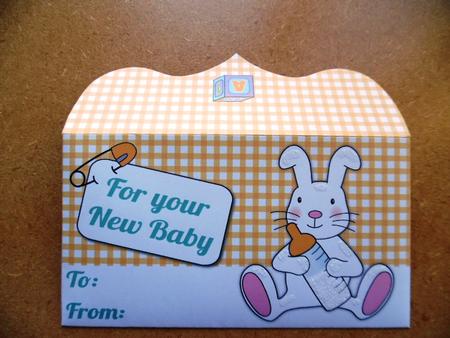 New Baby Money Wallet 3 by Denise Mynard