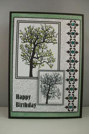 Black and White Trees 4 by Denise Mynard