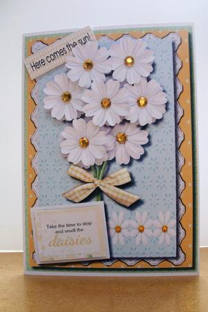 Take Time to Smell the Daisys by Denise Mynard