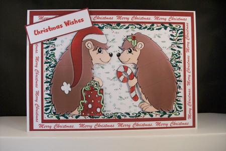 Mr & Mrs Hedgehog by Denise Mynard