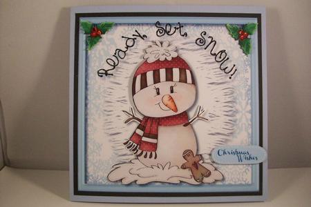 Ready Set Snow by Denise Mynard