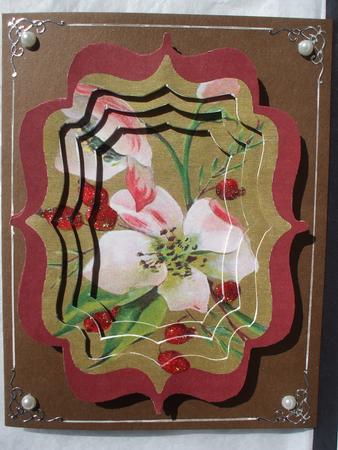 Wild Rose and Hips by Dennis Sharp
