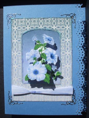 Arched Petunias by Dennis Sharp