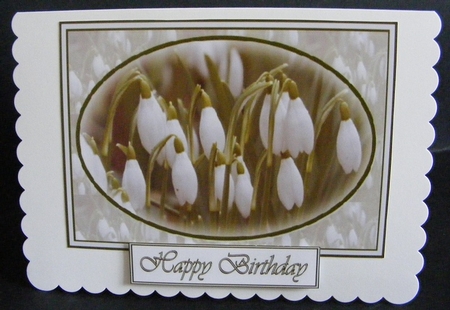 Snowdrops by Diana Holmes