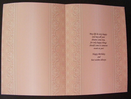 Vintage Lace Panel A4 Background - Salmon by Diana Holmes