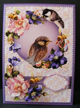 The Birds and the Bees by Diana Holmes